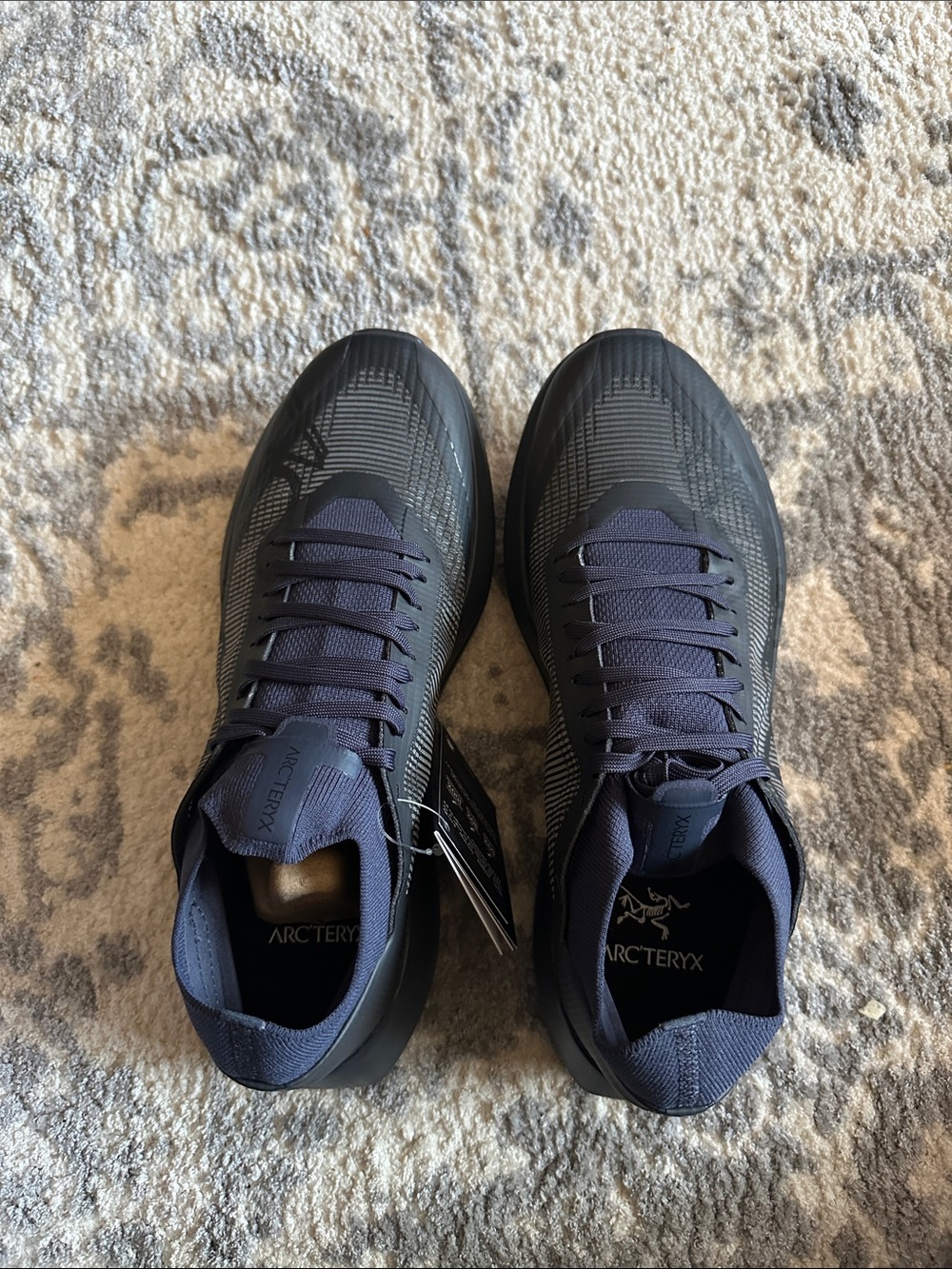 Arc'teryx Sylan 2 shoe